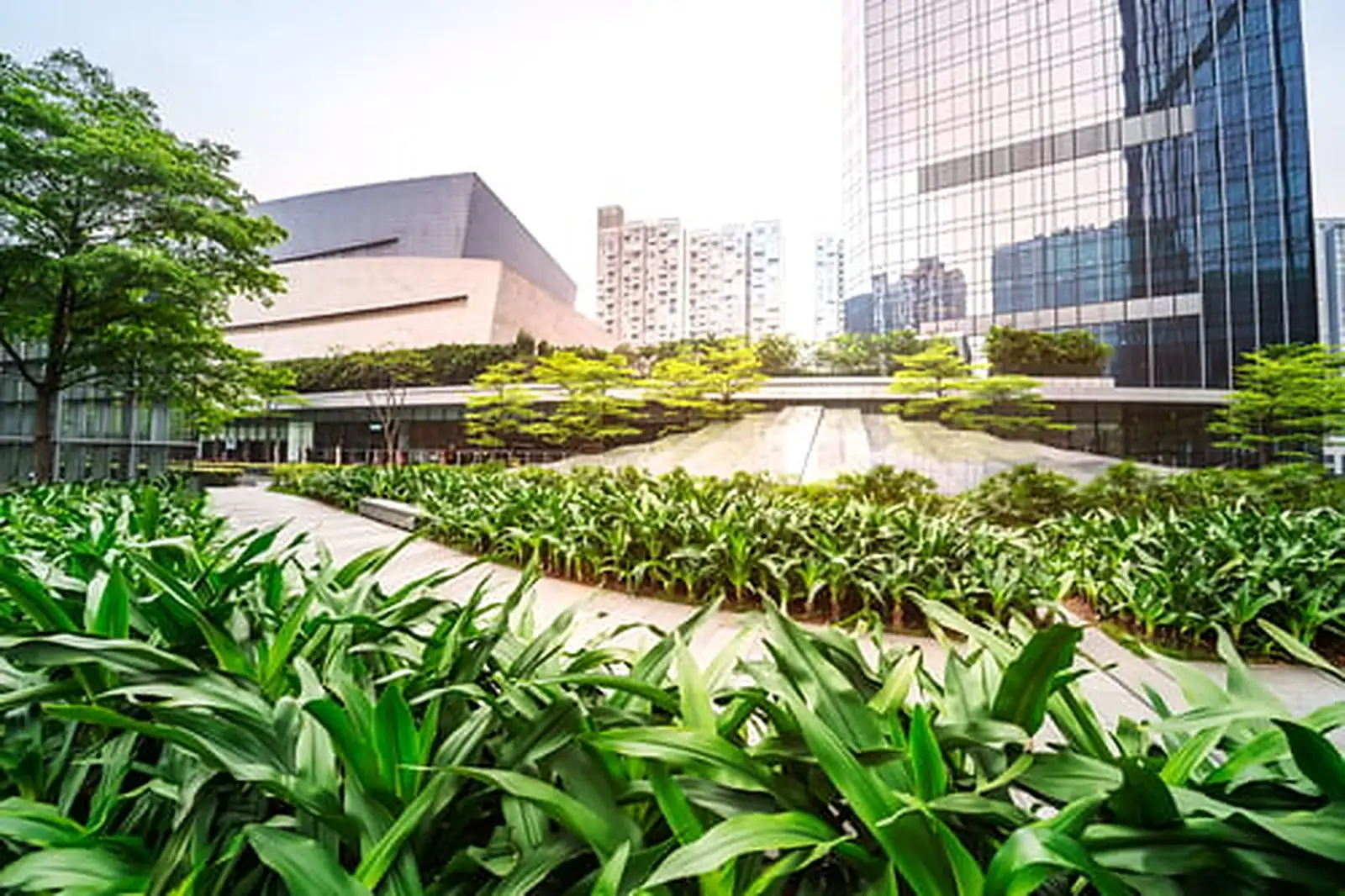 Commercial Landscaping