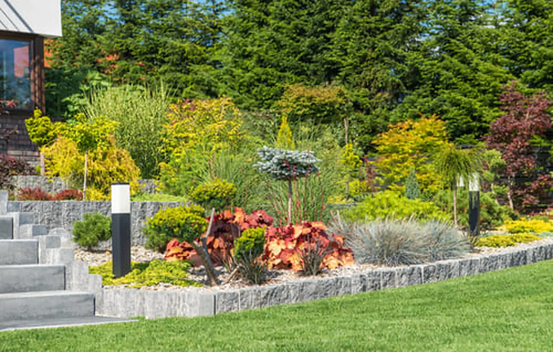 Insights from AJ Tree Expert and Landscape
