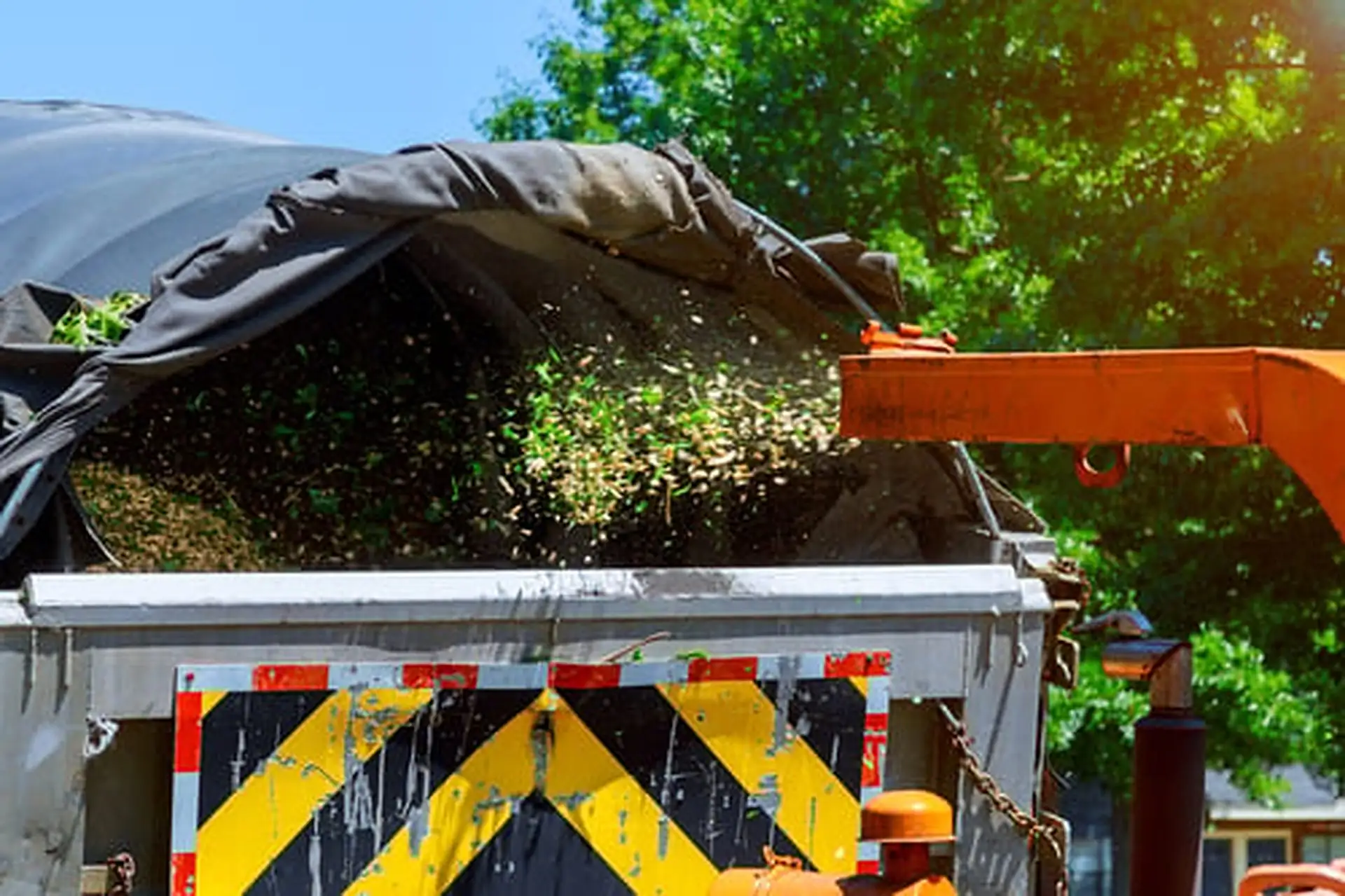 AJ Tree Expert and Landscape services