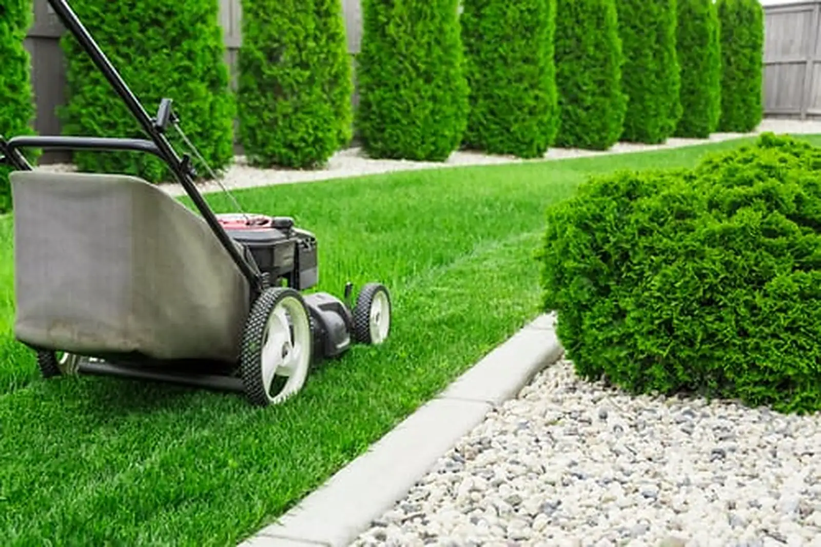 Lawn Care & Maintenance