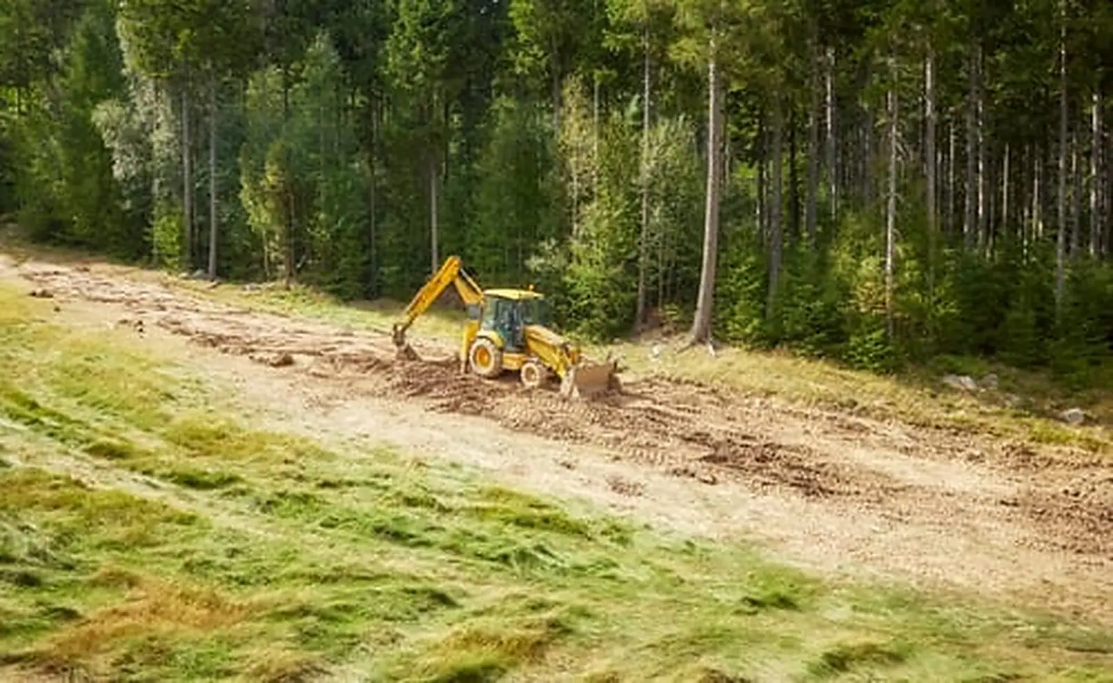 Lot Clearing & Brush Removal