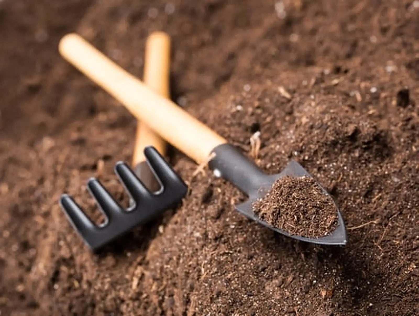 Mulch, Done Right: Depth, Timing, and the Volcano Problem
