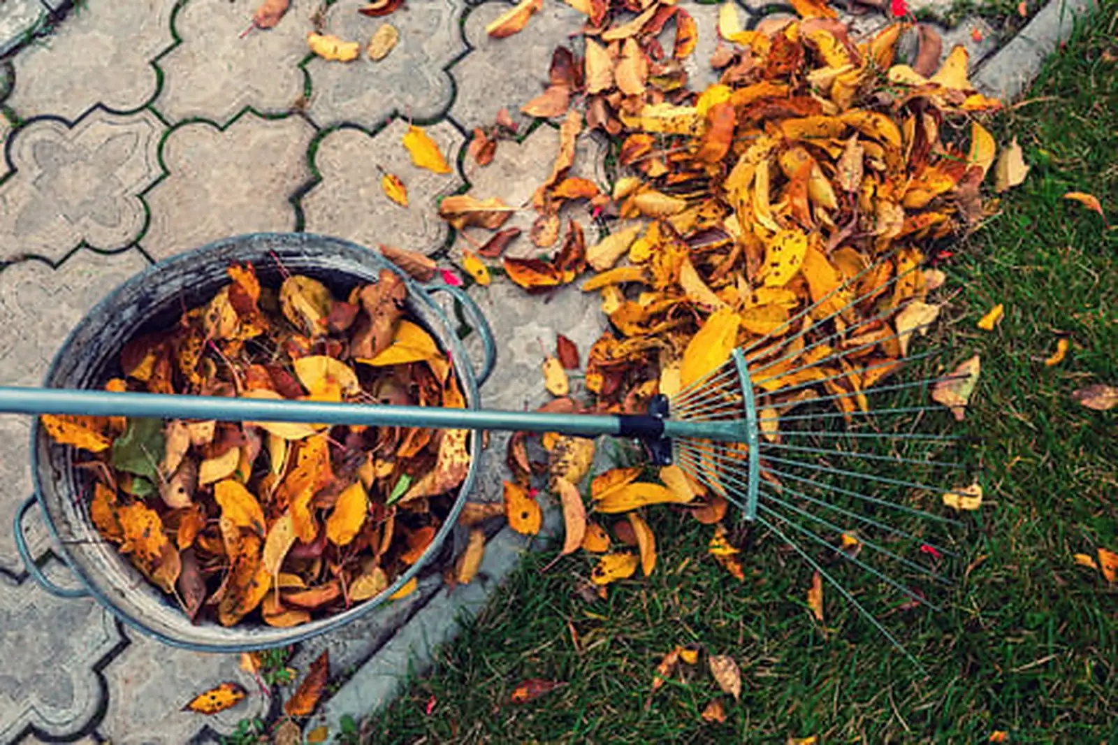 Spring & Fall Cleanups