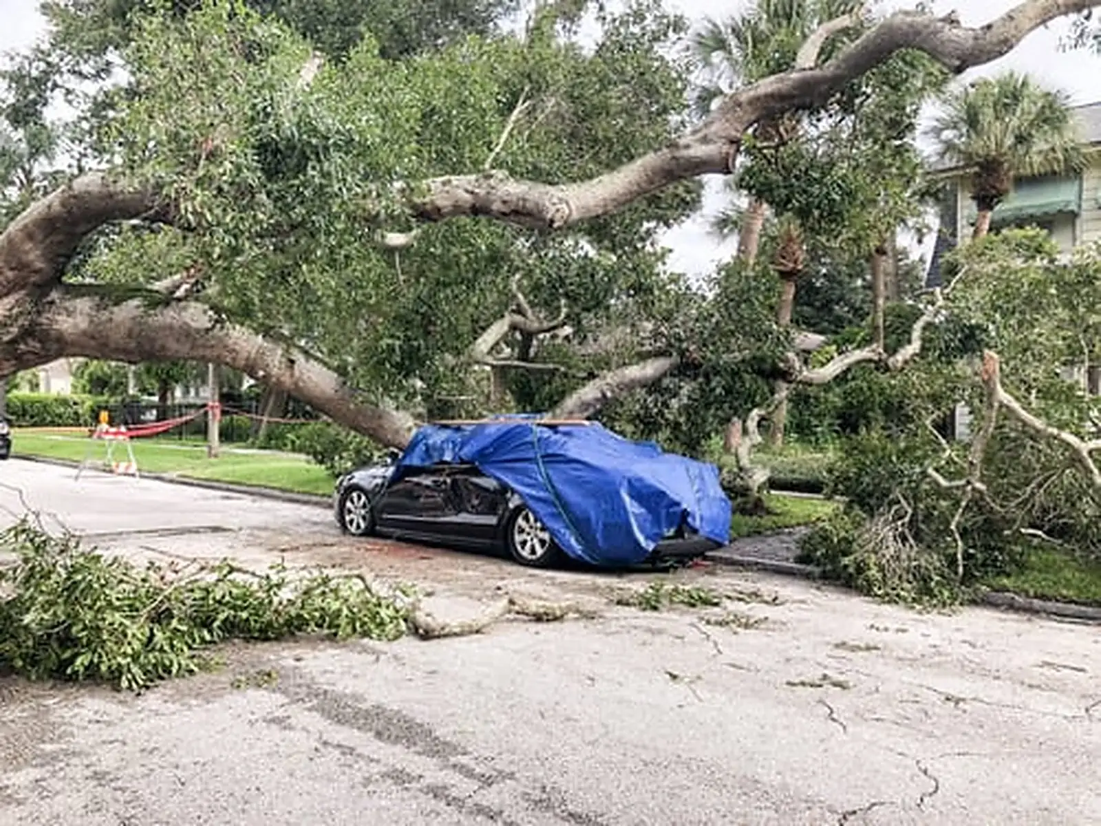 Storm Damage Cleanup