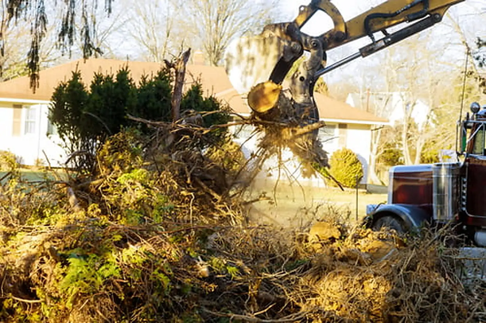 Storm Prep for Berks County Trees: What to Check Before the Wind Arrives